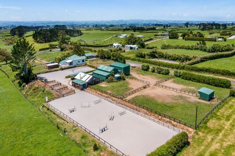 Photo of property in 1 Waingongoro Road, Cardiff, Stratford, 4391