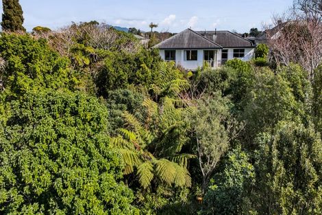 Photo of property in 217 Carrington Street, Vogeltown, New Plymouth, 4310