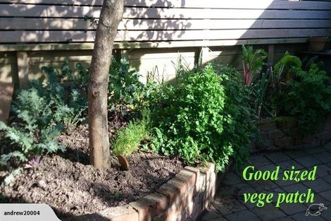 Photo of property in 27 Douglas Street, Mount Cook, Wellington, 6021