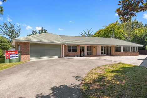 Photo of property in 15 Pascal Place, Flagstaff, Hamilton, 3210