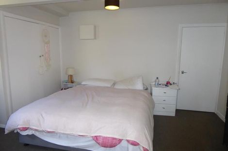 Photo of property in 51 Norway Street, Aro Valley, Wellington, 6012