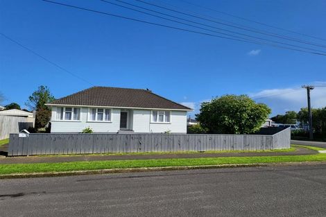 Photo of property in 17 Maire Street, Levin, 5510