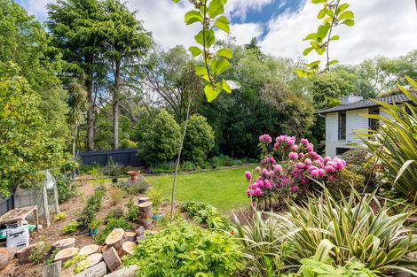 Photo of property in 11-17 Hayes Street, Waimate, 7924