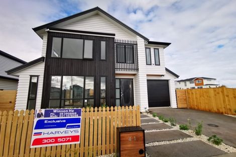 Photo of property in 41 Myland Drive, Hobsonville, Auckland, 0616