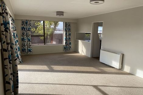 Photo of property in 52 Suffolk Street, Hampstead, Ashburton, 7700