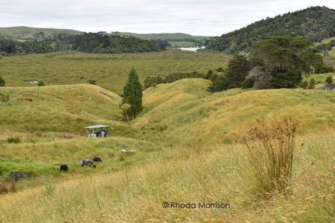 Photo of property in State Highway 12, Paparoa, Maungaturoto, 0583