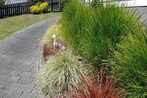 Photo of property in 1 Curacao Place, Grenada Village, Wellington, 6037