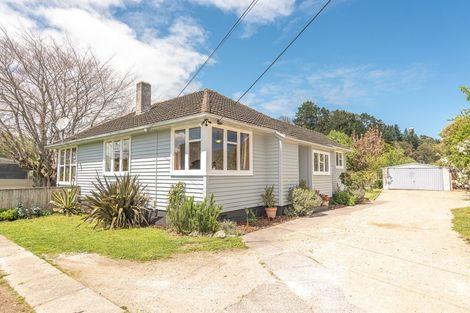 Photo of property in 46 Wakefield Street, Whanganui East, Whanganui, 4500