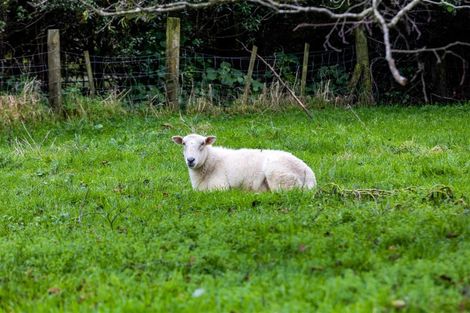 Photo of property in 361 Corbett Road, Paraite, New Plymouth, 4373