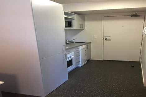 Photo of property in The Peak Apartments, 1001/170 Taranaki Street, Te Aro, Wellington, 6011