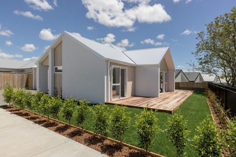 Photo of property in 13a Western Avenue, Omokoroa, 3114