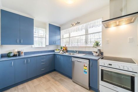 Photo of property in 44 Epuni Street, Hutt Central, Lower Hutt, 5011