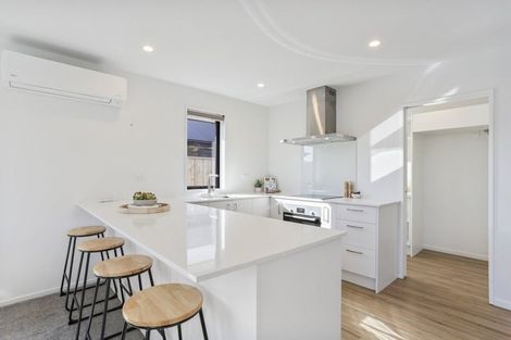 Photo of property in 21 Herridge Street, Woodend, 7610