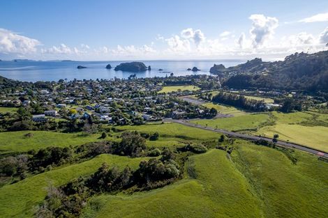 Photo of property in 94 Hahei Beach Road, Hahei, Whitianga, 3591