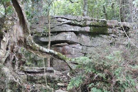 Photo of property in 1074 Oparure Road, Te Kuiti, 3985