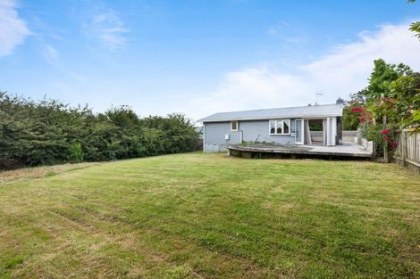 Photo of property in 44 Pine Avenue, Henderson, Auckland, 0612