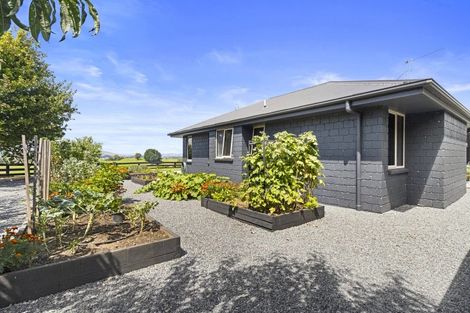 Photo of property in 125 Te Tahi Road, Puketotara, Te Awamutu, 3876