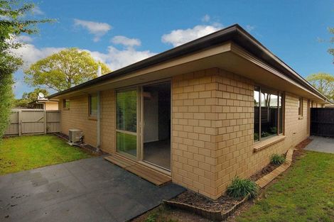 Photo of property in 48 Thackeray Place, Waltham, Christchurch, 8023