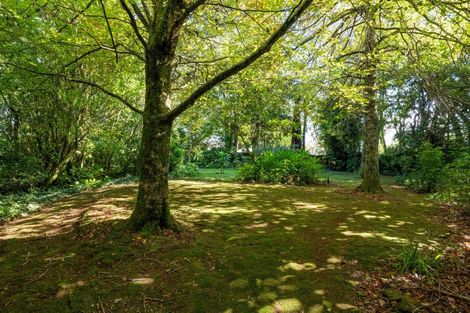 Photo of property in 58 Celia Street, Stratford, 4332