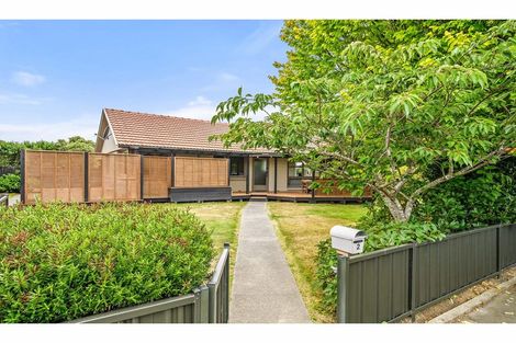 Photo of property in 15 Bean Street, Hillmorton, Christchurch, 8025