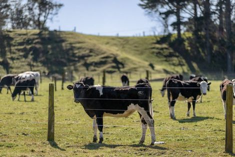 Photo of property in 1255 Braemar Road, Rotoma, Whakatane, 3192