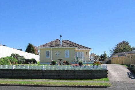 Photo of property in 38 Neal Street, Putaruru, 3411