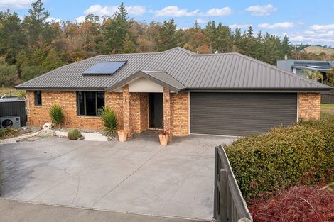 Photo of property in 167 Taylor Pass Road, Witherlea, Blenheim, 7201