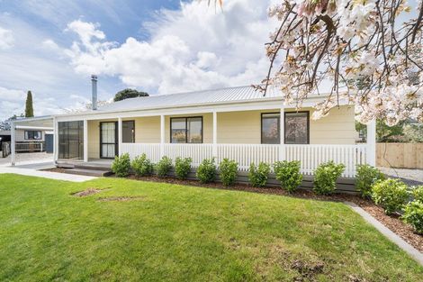 Photo of property in 22 Lincoln Street, Ashhurst, 4810
