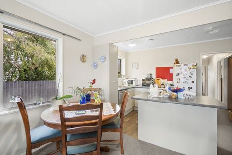 Photo of property in 46 Durham Street, Levin, 5510