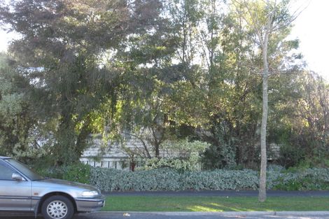 Photo of property in 202a Nixon Street, Hamilton East, Hamilton, 3216