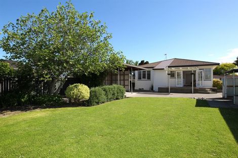 Photo of property in 802 Alexandra Street, Parkvale, Hastings, 4122