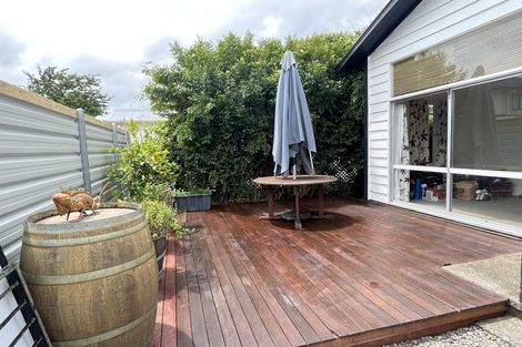 Photo of property in 17 Knowles Street, Terrace End, Palmerston North, 4410