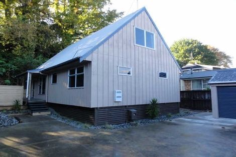 Photo of property in 12a Opoia Road, Hamilton East, Hamilton, 3216