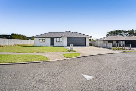 Photo of property in 24 Bianca Crescent, Stratford, 4332