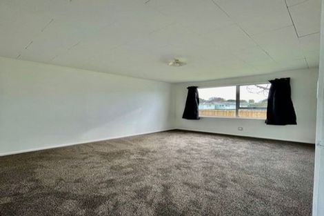 Photo of property in 11 Ulay Place, Clover Park, Auckland, 2019