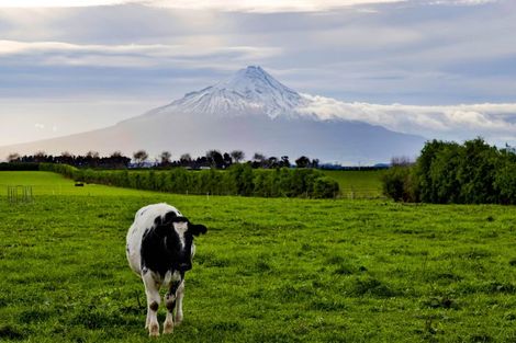 Photo of property in 357 Katene Road, Normanby, Hawera, 4675