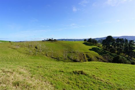 Photo of property in 1658 Ruapekapeka Road, Kawakawa, 0182