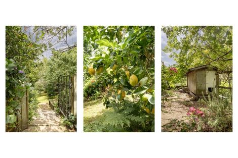 Photo of property in 20 Emmerdale Place, Ohauiti, Tauranga, 3112