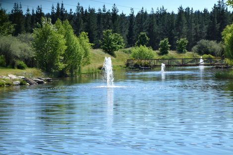 Photo of property in 28 Briar Crescent, Alexandra, 9320