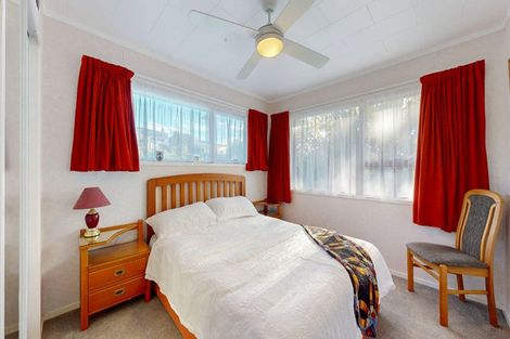 Photo of property in 9 Terrace Street, Putaruru, 3411