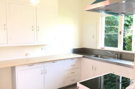 Photo of property in 45 Pacific Street, Roslyn, Dunedin, 9010