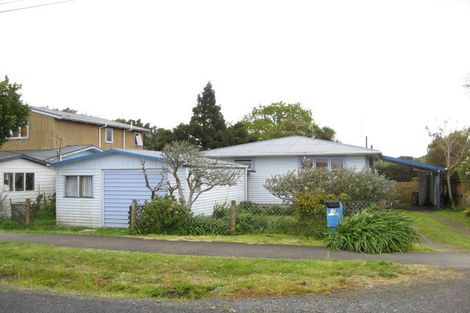 Photo of property in 19 Punga Road, Whenuapai, Auckland, 0618