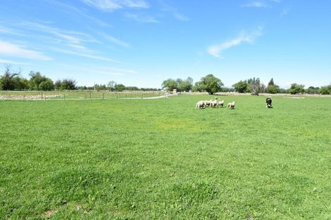 Photo of property in 86 Hocken Lane, Twizel, 7999