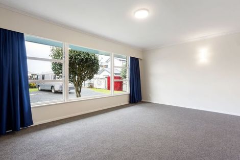Photo of property in 163 Clarkin Road, Fairfield, Hamilton, 3214