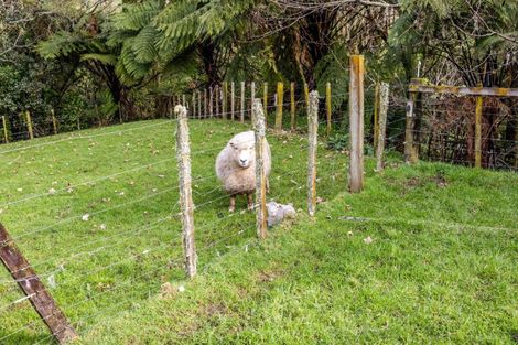 Photo of property in 1288 Richmond Road, Everett Park, Inglewood, 4389