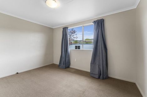 Photo of property in 17 Antimony Crescent, Cromwell, 9310