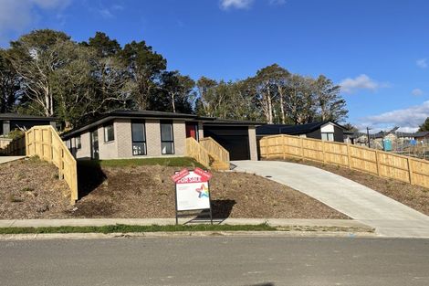 Photo of property in 17 Royal St Annes Drive, Te Kamo, Whangarei, 0112