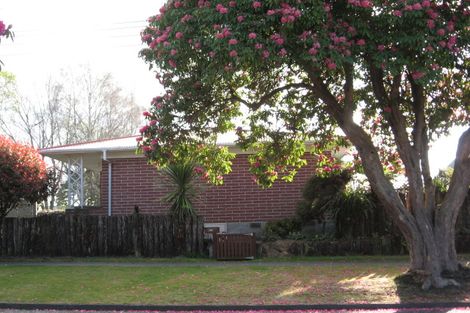 Photo of property in 22a York Street, Glenholme, Rotorua, 3010