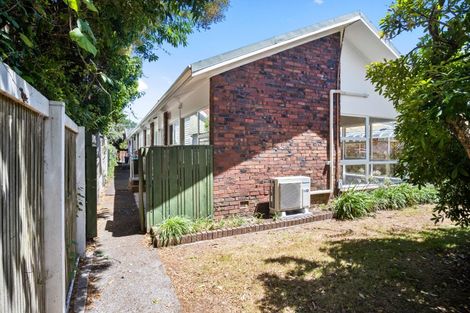 Photo of property in 1/20 Domett Avenue, Epsom, Auckland, 1023