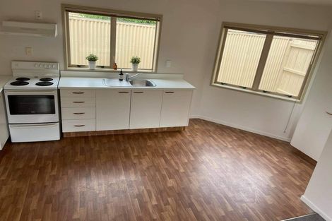 Photo of property in 209c Killarney Road, Frankton, Hamilton, 3204